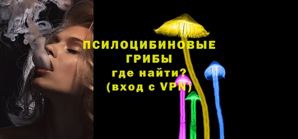 винт Армянск