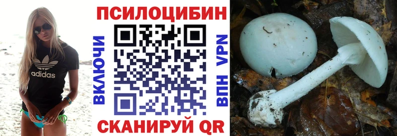 где можно купить наркотик  Старая Купавна  Псилоцибиновые грибы MAGIC MUSHROOMS 